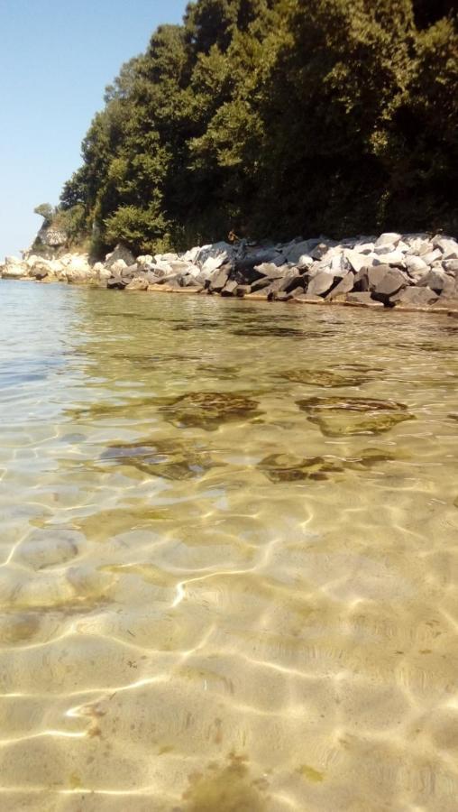 Villa Mareli Tsarevo Εξωτερικό φωτογραφία