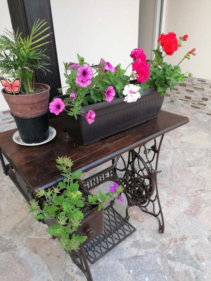 Villa Mareli Tsarevo Εξωτερικό φωτογραφία